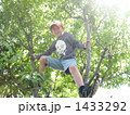 木のぼりする男の子