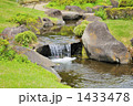 春のせせらぎ