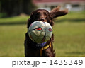 サッカー　ワールドカップの代表だ！