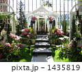 温室の花々