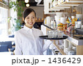 アルバイト女性（飲食業・サービス業・カフェ）メイン