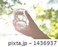 空に水の入ったコップをむける