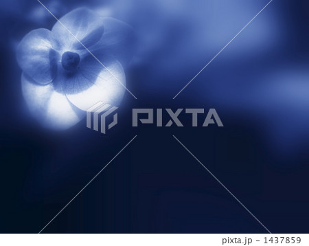 「IN THE DARK」の写真素材 「IN THE DARK」の写真素材