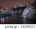 千鳥ヶ淵の桜ライトアップ