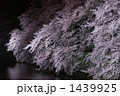 千鳥ヶ淵の桜ライトアップ
