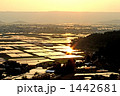 夕日の田園地帯