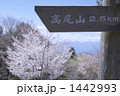 道しるべ