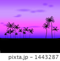 遠い海