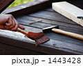 1443428