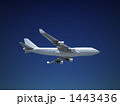 飛行機