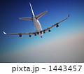 飛行機