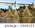 モノレールと千葉公園