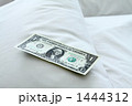 １ドル チップ