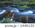 1446130