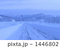 1446802