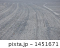 1451671