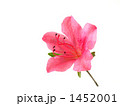 1452001