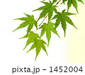 1452004
