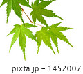 1452007