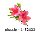 1452022