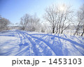 雪の轍