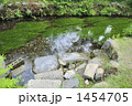 醒ヶ井は地蔵川の清流風景～その３