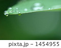 葉_006