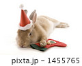 クリスマスプレゼントを待つ子うさぎ