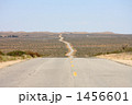 1456601