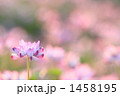 1458195