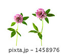 1458976