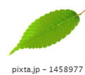 1458977