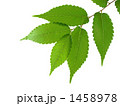 1458978