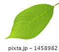 1458982