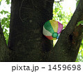 木の上の紙風船