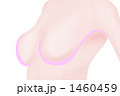 バスト
