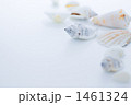 1461324
