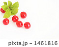 Downy Cherry-03
