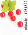 Downy Cherry-04