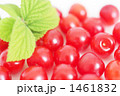 Downy Cherry-05