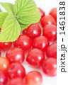Downy Cherry-06