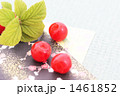 Downy Cherry-09