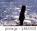 魚とりの少女