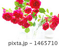 薔薇 ハガキ素材 背景素材
