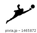 サッカーシルエット、ファインセーブ