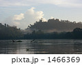 1466369