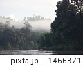 1466371