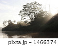 1466374