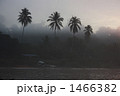 1466382