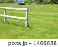 北欧の杜公園
